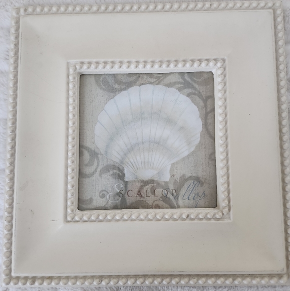 FRAMED SEASHELL PORTRAITS - Picture 2 of 5